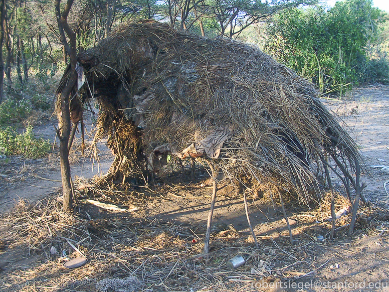 hadza hut